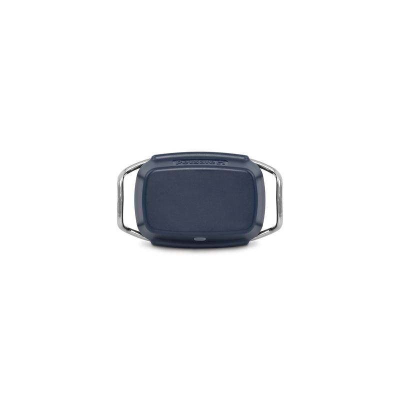 PetSafe Dog GPS Tracker, Includes Tracker with Stainless Steel Clip, 1 Charging base, 1 USB-C cable
